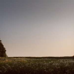 学生妹国产在线
